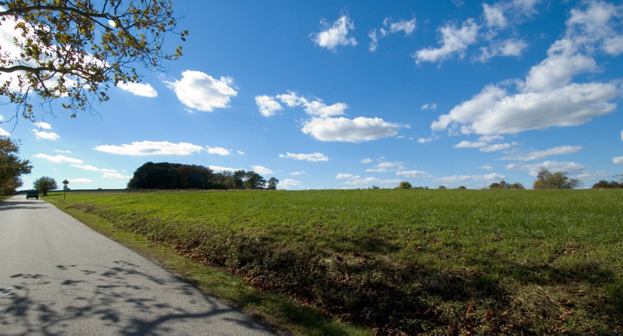 Farm Park - Road